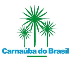 Carnauba Brasil